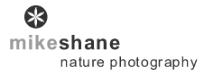 Home of Mike Shane Nature Photography