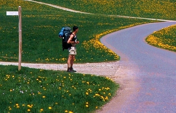 Fine Art Nature Photography: valley with dandelions in the Jura, France